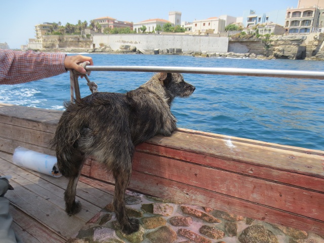 シラクーサの街歩き （２２景-5）　シチリア　イタリア　siracusa, Sicili