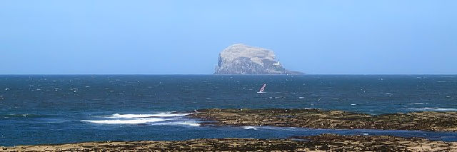 V[o[hEZ^[oXEbN]ށ@Bass Rock from the Scotish Seabird Center, North Berwick, Edinburgh@2009/05/17@Photo by Kohyuh