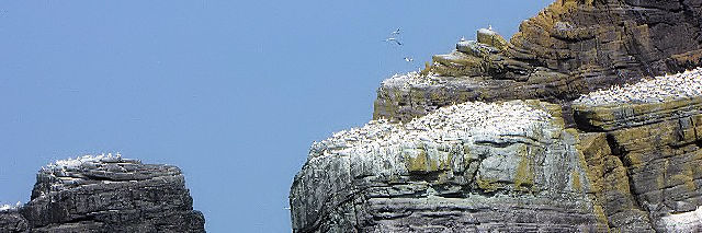 A VJcIhŖߐsꂽXPbO Little Skellig@2009/06/04@Photo by Kohyuh