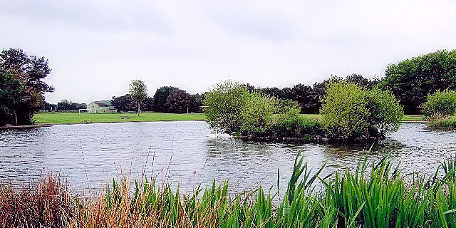 セント・アンドリュースの公園　St. Andrews, Scotland　2009/05/19　Photo by Kohyuh