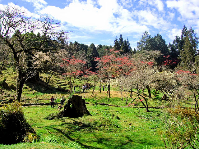 花木の園　2012/03/03　Photo by Kohyuh