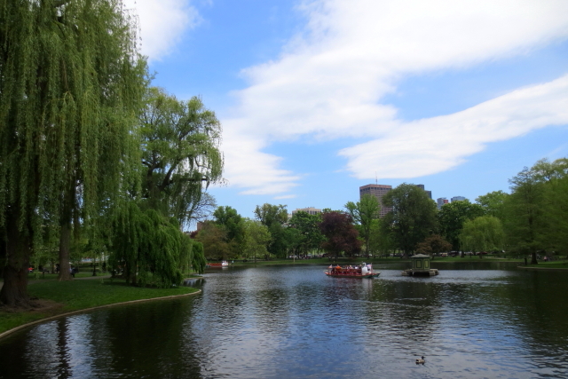 ボストン・パブリック・ガーデン　Boston Public Garden　2013/05/15　Photo by Kohyuh