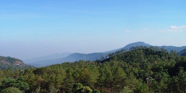 hCEC^m Doi Inthanon National Park ̒t߁@Doi Inthanon, Chiang Mai, Thailand@2007/01/23@Photo by Kohyuh