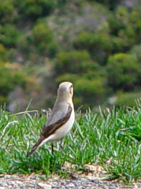  nVOq^L @@iR-2j@{CkJ@J^[jB@XyC@Vall de Boi, Catalonia, Spain@2005/05/22@Photo by Kohyuh