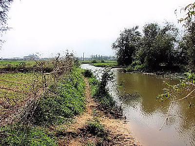 水田の用水路　ホイアン　ベトナム　Hoi An, Vietnam　2010/01/17　Photo by Kohyuh