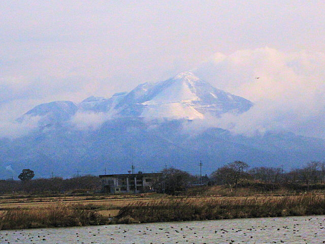 ビオトープ池から伊吹山を望む　2013/01/17　Photo by Kohyuh