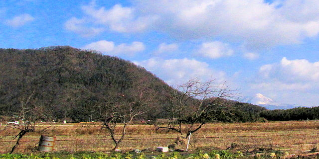 オオワシが毎年渡来する山本山　2013/01/17　Photo by Kohyuh