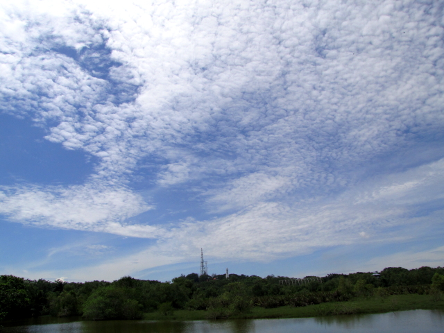 見晴らし台からの眺め （２景-2）