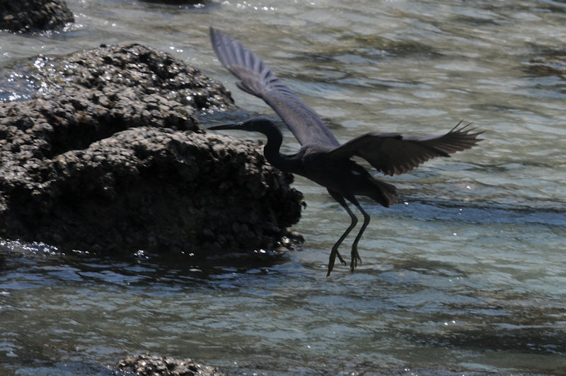 NTM F^ iUԁj@p^@^C@Pattaya, Thai