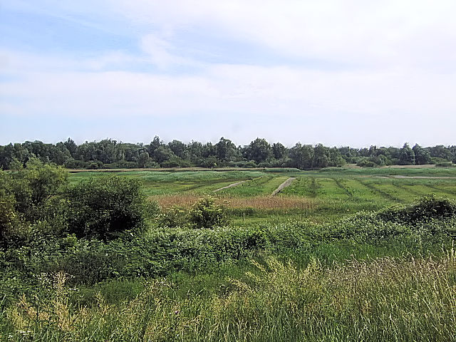 レーペラール・プラッセン Lepelaarplassen の入り口付近の風景　Lepelaarplassen, Netherlands　2011/06/04　Photo by Kohyuh