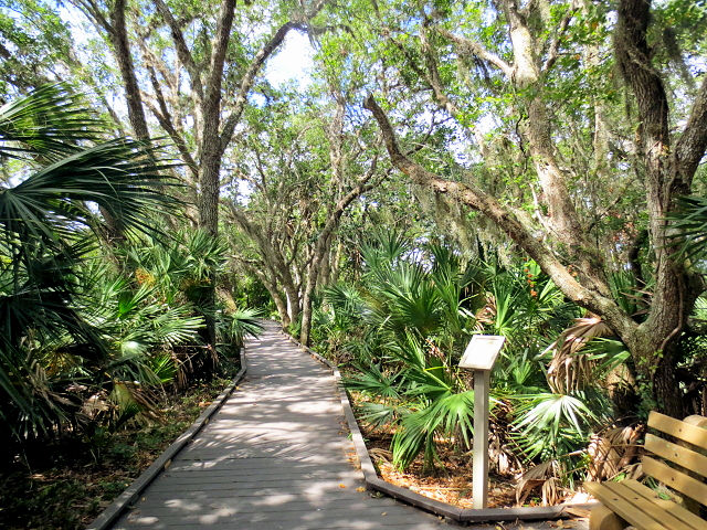 photo 2　板張り遊歩道 Boardwalk Trail