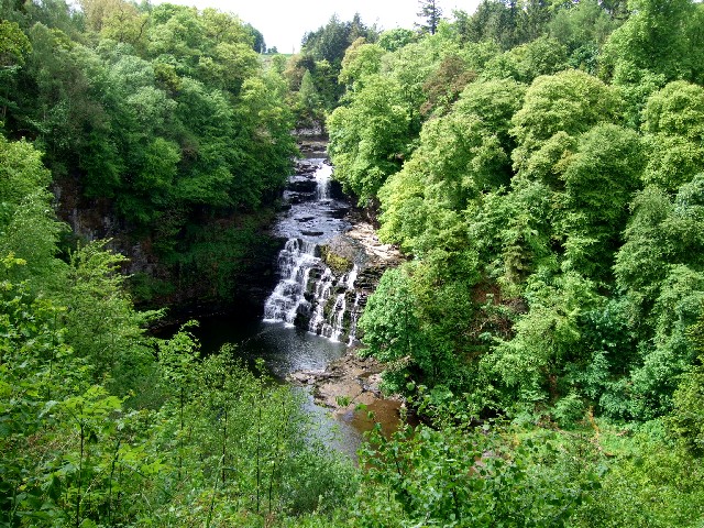 クライド滝 Falls of Clyde　2009/05/26　Photo by Kohyuh