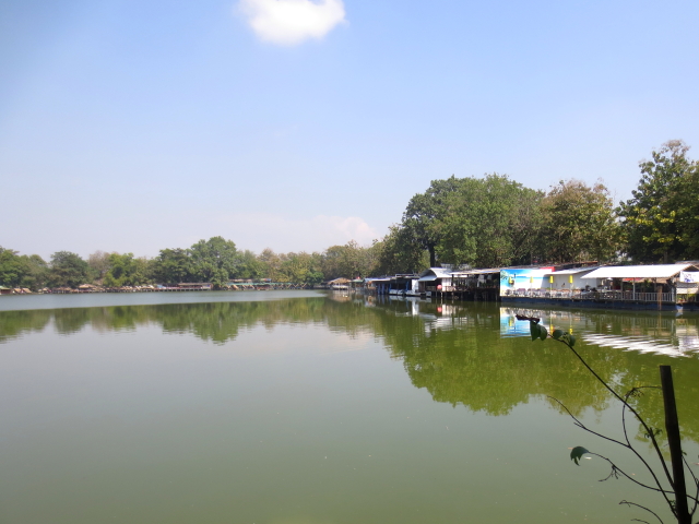 ラーマ９世公園 （８景-4）　チェンマイ　タイ　King Rama IX Lanna Garden, Chiang Mai,Thailand　2014/01/15　Photo by Kohyuh