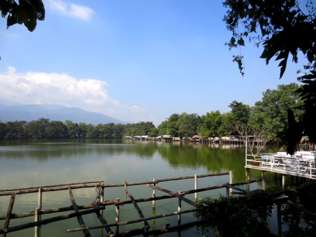 ラーマ９世公園 （８景-6）　チェンマイ　タイ　King Rama IX Lanna Garden, Chiang Mai,Thailand　2014/01/15　Photo by Kohyuh