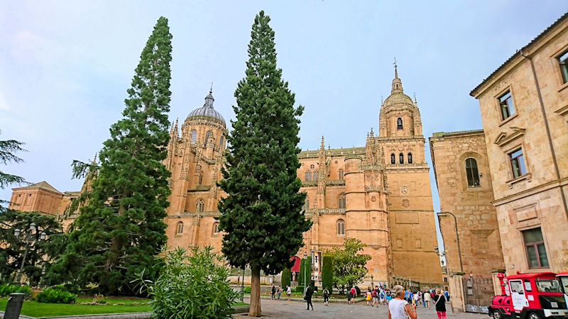 photo13 Old City of Salamanca. 2018/06/21 photo by Kohyuh