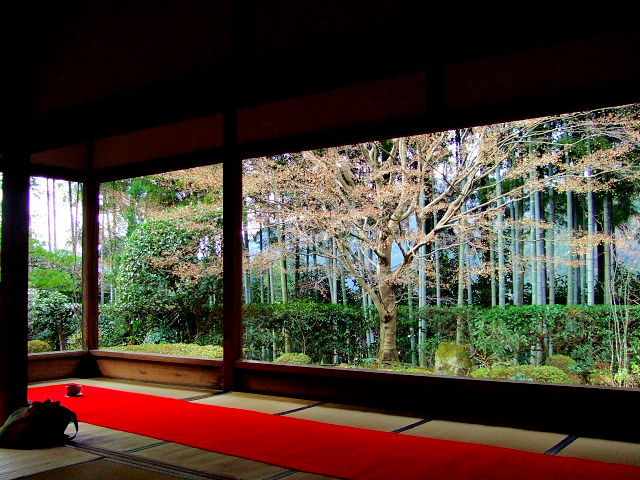 宝泉院　額縁の庭園　大原　京都　2007/12/14　Photo by kohyuh