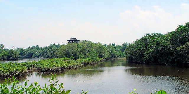 Sungei Buloh Nature Park, Singapore@2004/05/17@Photo by Kohyuh