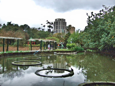 植物園内の風景