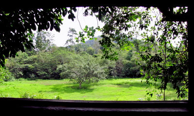 観察小屋からの眺め　観察小屋 hide　タマン・ネガラ　Taman Negara, Malaysia　2010/06/07　Photo by kohyuh