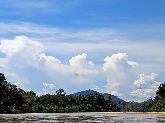 テンベリン川　マレーシア　River Tembeling, Malaysia　2010/06/06　Photo by kohyuh