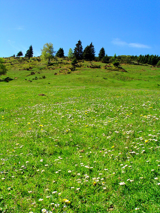 ZM[Ɍ iUi-2j@bound to Montsegur,  Frabce, 2005/05/20