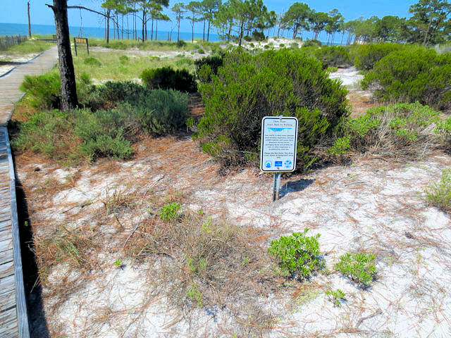 ドーフィン島に向かって（２０景-10）　Leave for Dauphin Island, Alabama　2013/06/15