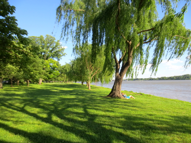 西ポトマック公園 （４景-3）