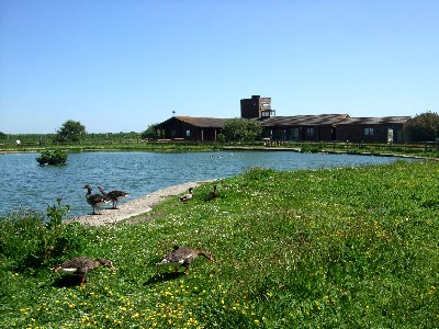 ウェックスフォード野鳥保護区　アイルランド　Wexford Wildfowl Reserve, Ireland　2009/06/01　Photo by Kohyuh