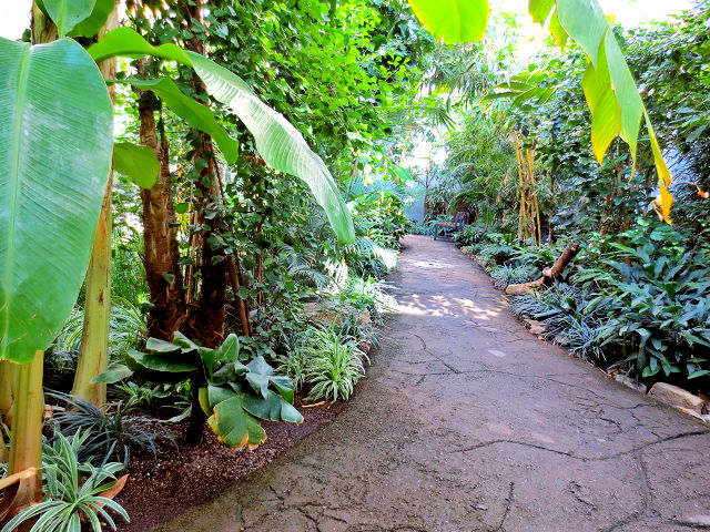 ベルリン動物園　Zoo Berlin （１０景-9）