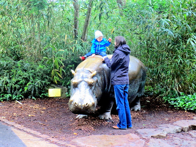 ベルリン動物園　Zoo Berlin （１０景-4）