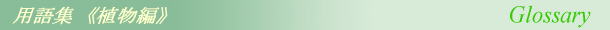 用語集 <植物編> - 旅先で出逢った花や樹木たち