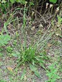 �s�w���I�I�o�R�t�@�N���b�N�Ŋg�傷��