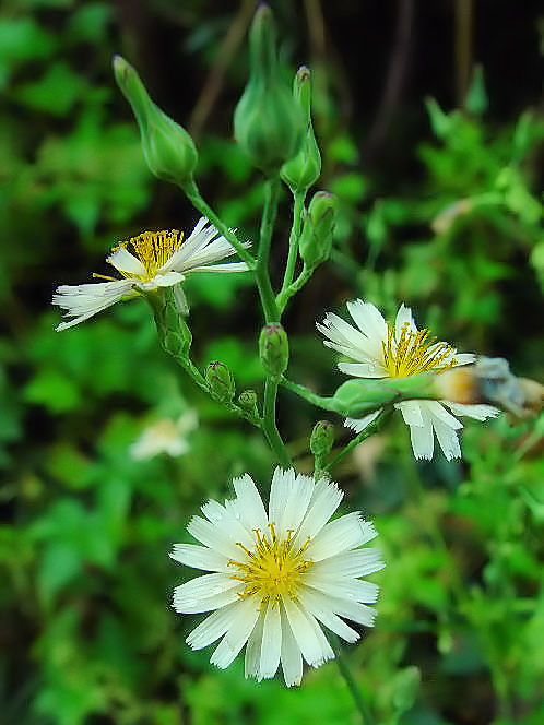 @ ALmmQV@ؒÐs@ڗߍx@@Photo by Kohyuh@2004/09/19