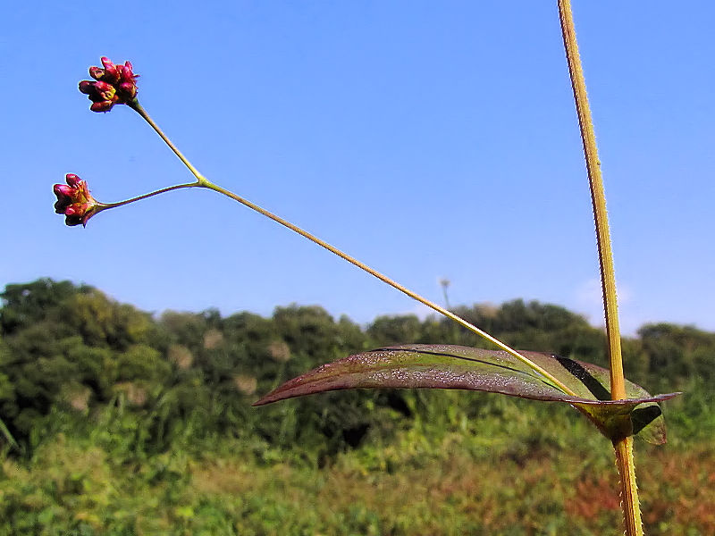 ALmEiMcJ~@iU-3j@w@s@2016/11/12@Photo by Kohyuh
