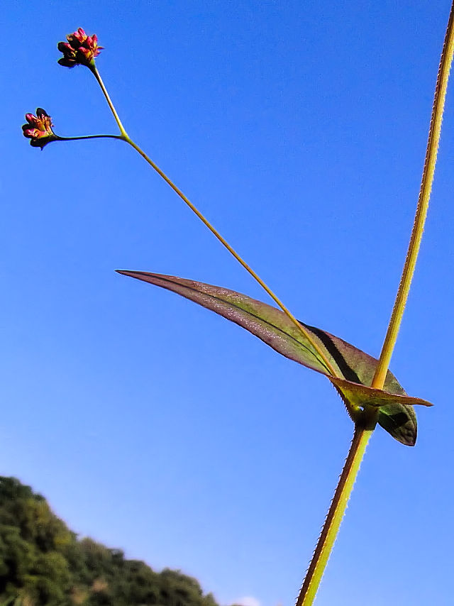 ALmEiMcJ~@iU-5j@w@s@2016/11/12@Photo by Kohyuh