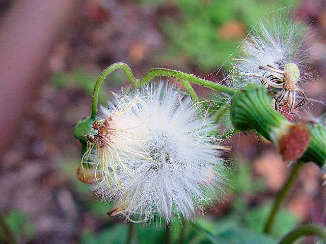 A xjoi{MN@p@@s@J@@Photo by Kohyuh@2004/10/06