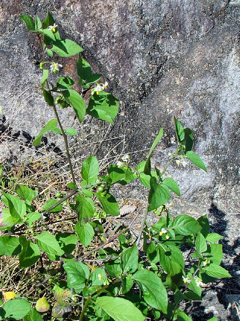 A CkzIYL@p@s@jR@2007/10/20@Photo by Kohyuh