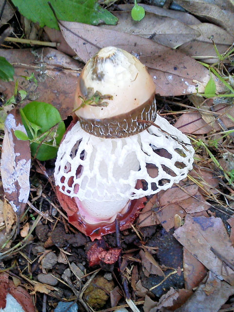 @ LkKT^P@s@jR@Photo by Kohyuh@2013/10/31