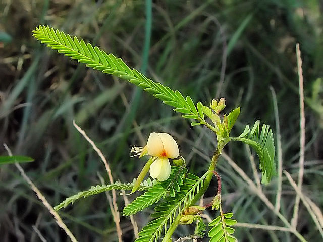 A NTl@p@s@썶݁@2004/10/18@Photo by Kohyuh