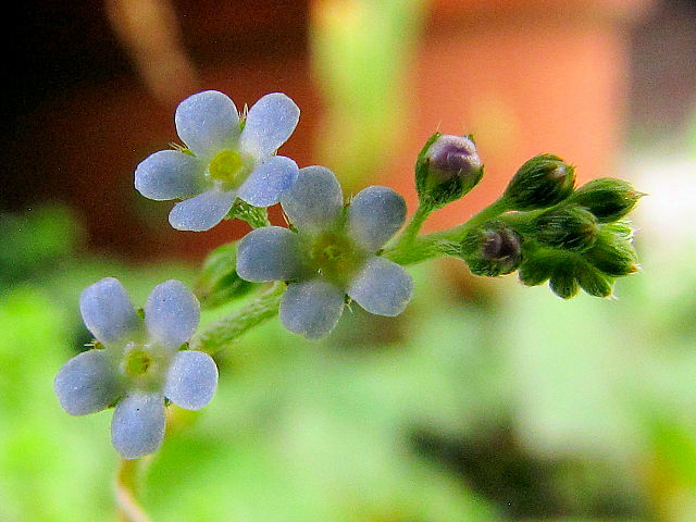 A LEOT@Ԏp@s@jR@2011/05/04@Photo by Kohyuh