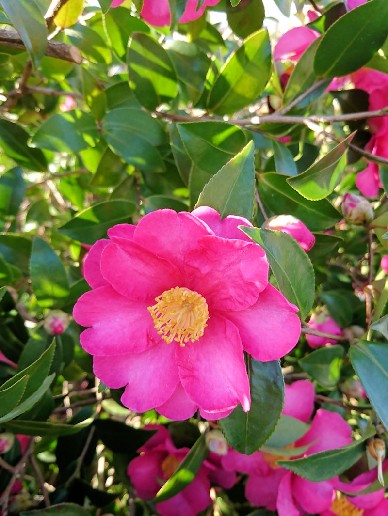 TUJ i|j@ԎpiQ-1j@s@J 2018/12/25@Photo by Kohyuh