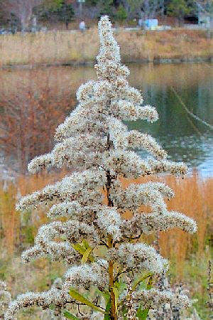 ZC^JA_`\E@~p@2008/01/14 Photo by Kohyuh