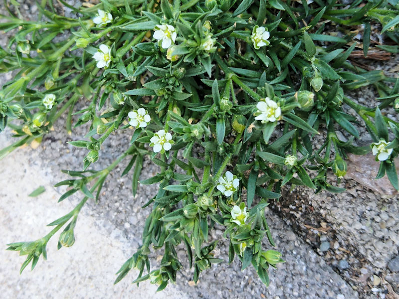 cNT@iQ-1j@J@s@2020/04/30@Photo by Kohyuh