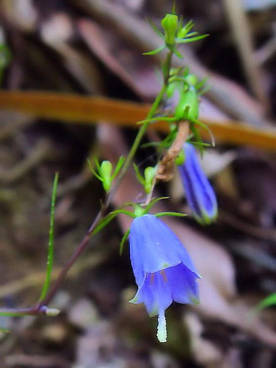 @ cKljW@@ؒÐs@ڗߍx@2004/09/19@Photo by Kohyuh