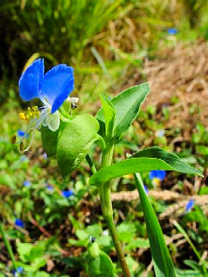 cNT@Ԏp@@s@J@2005/09/26@Photo by Kohyuh