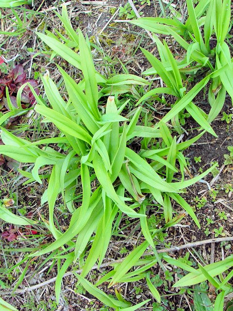 B uJ]E itj@s@ؒÐE݁@2006/03/19@Photo by Kohyuh