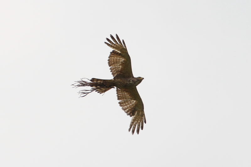 TVo@юpU@@R@ 2016/06/16@ Photo by Manda