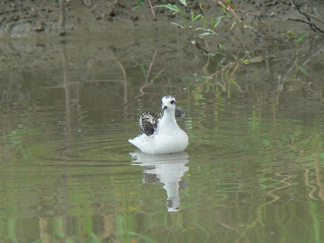 A AJGqAVVM@c@s@2007/10/02@Photo by Takase