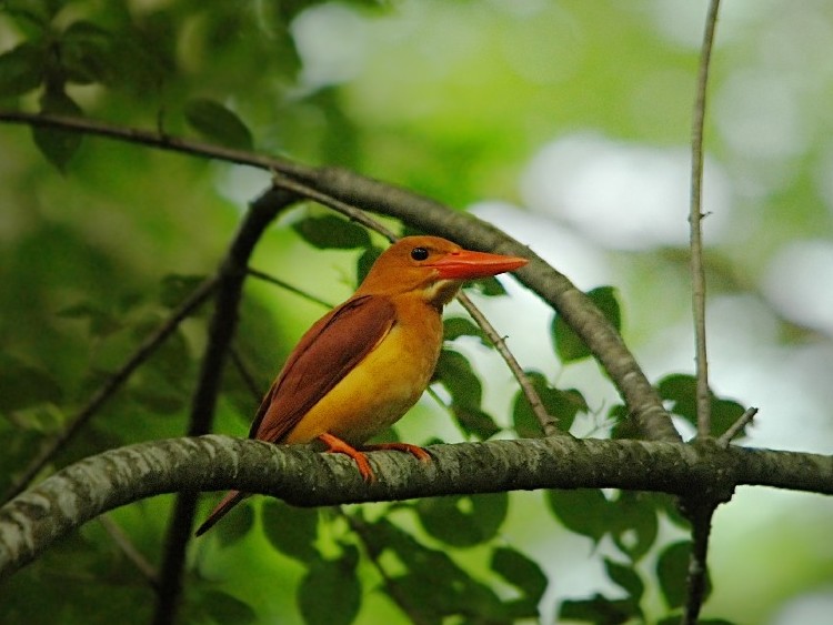 @ AJVEr@@ˉBXь@2009/07/19@ Photo by Takase