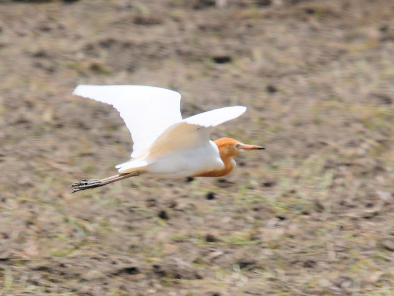 A}TM@@ĉH@J@s@2022/05/25@Photo by Kohyuh